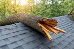 How We Handle Your Insurance Claim the Right Way for Hail or Wind Damage